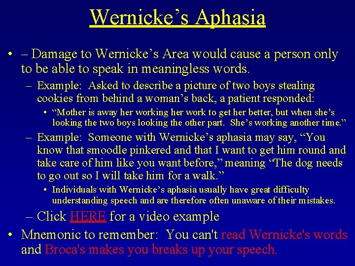 Wernicke’s Aphasia • – Damage to Wernicke’s Area would cause a person only to