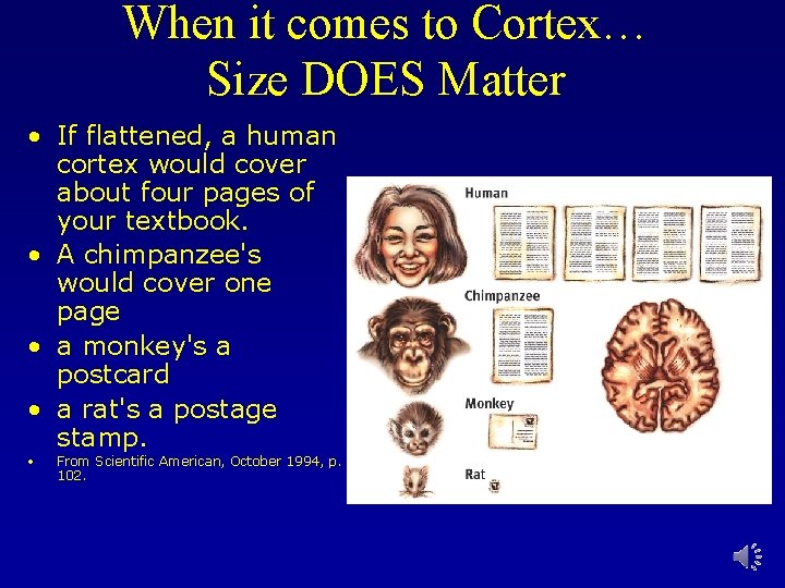 When it comes to Cortex… Size DOES Matter • If flattened, a human cortex