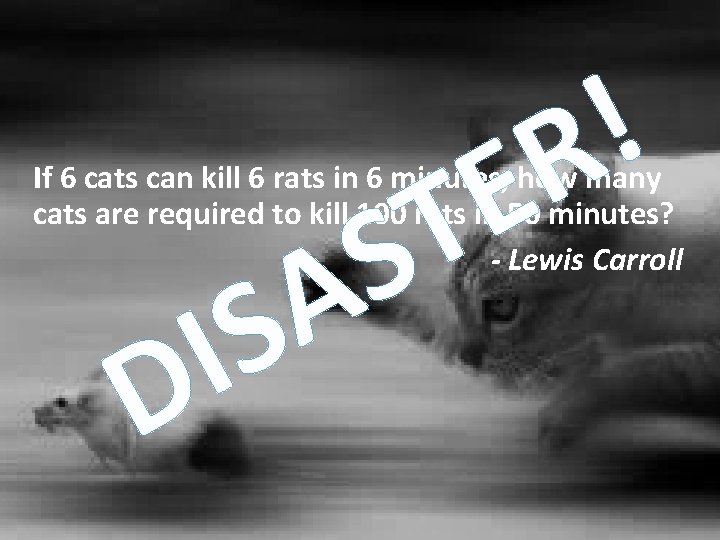 E T S A S I ! R If 6 cats can kill 6