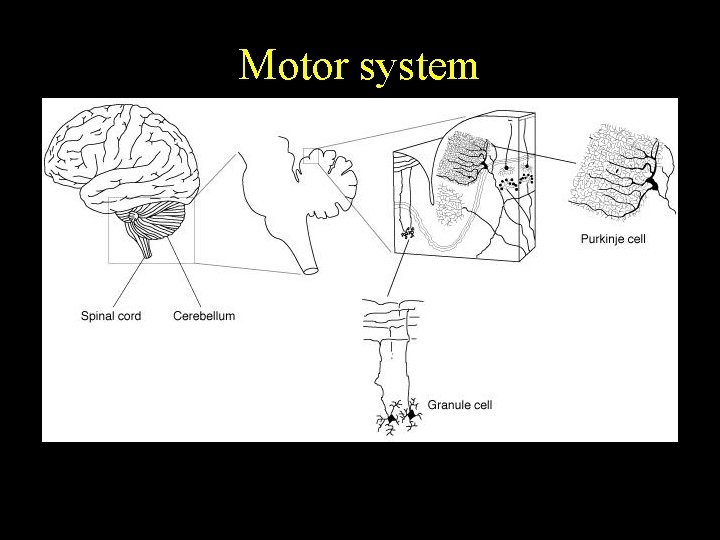 Motor system 