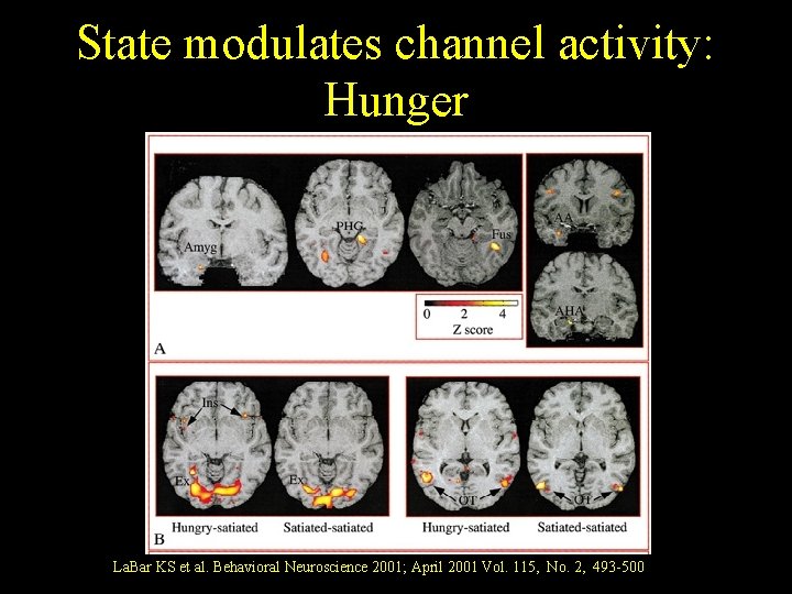 State modulates channel activity: Hunger La. Bar KS et al. Behavioral Neuroscience 2001; April