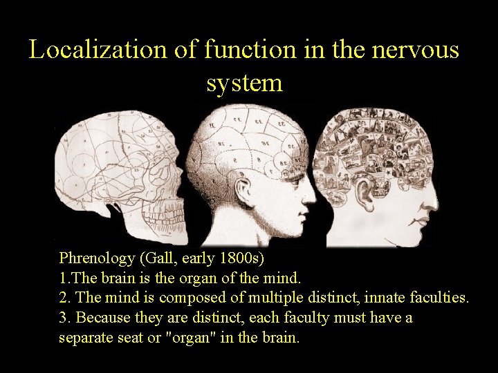 Localization of function in the nervous system Phrenology (Gall, early 1800 s) 1. The