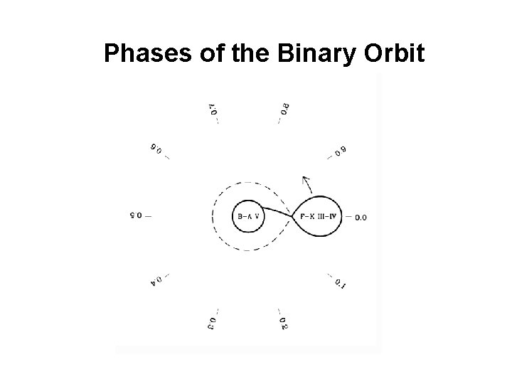 Phases of the Binary Orbit 