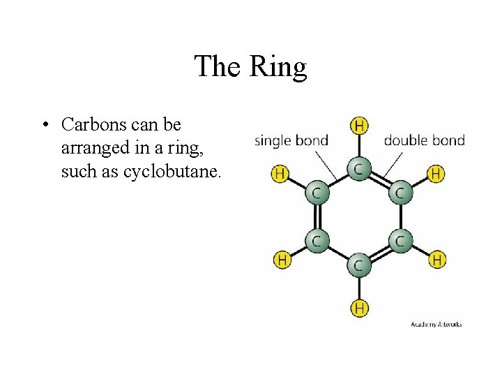 The Ring • Carbons can be arranged in a ring, such as cyclobutane. 