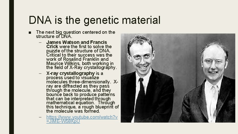 DNA is the genetic material ■ The next big question centered on the structure