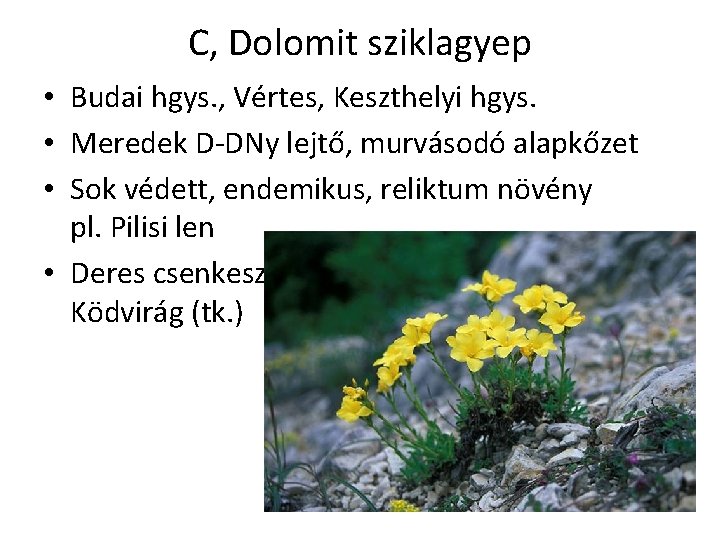 C, Dolomit sziklagyep • Budai hgys. , Vértes, Keszthelyi hgys. • Meredek D-DNy lejtő,