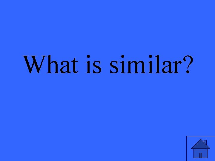 What is similar? 