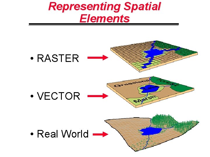 Representing Spatial Elements • RASTER • VECTOR • Real World 