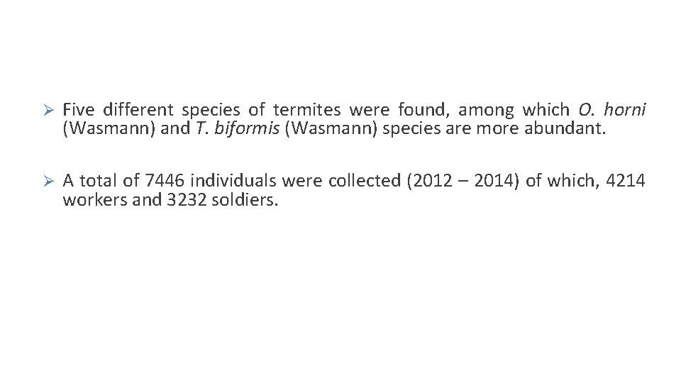 Ø Five different species of termites were found, among which O. horni (Wasmann) and