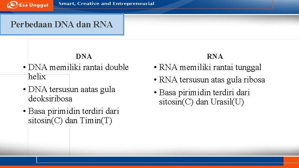 Perbedaan DNA dan RNA DNA • DNA memiliki rantai double helix • DNA tersusun