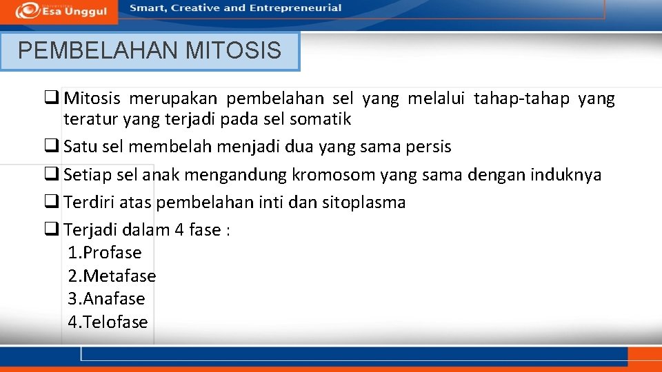PEMBELAHAN MITOSIS q Mitosis merupakan pembelahan sel yang melalui tahap-tahap yang teratur yang terjadi