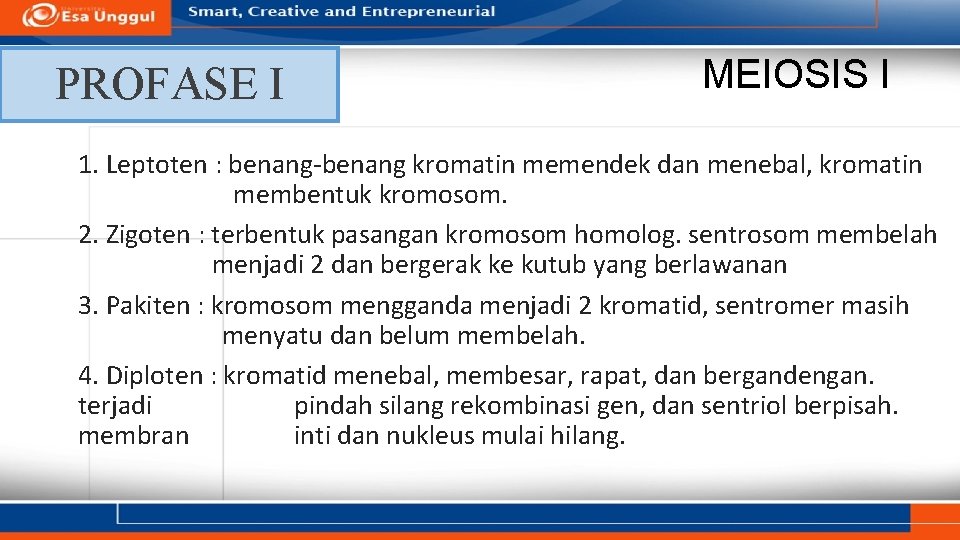 PROFASE I MEIOSIS I 1. Leptoten : benang-benang kromatin memendek dan menebal, kromatin membentuk