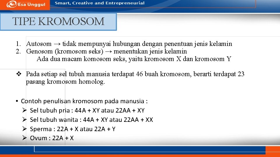TIPE KROMOSOM 1. Autosom → tidak mempunyai hubungan dengan penentuan jenis kelamin 2. Genosom
