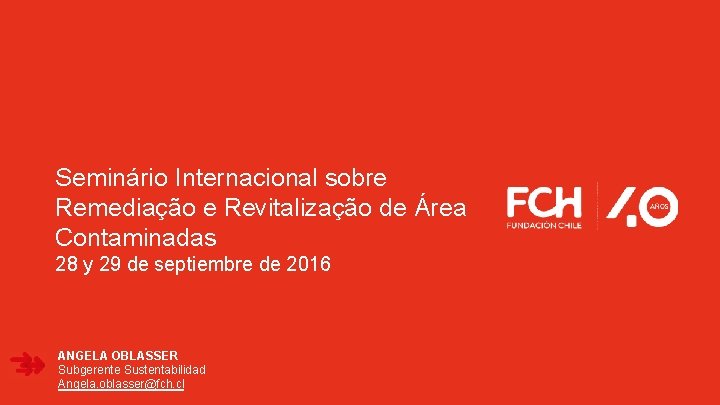 Seminário Internacional sobre Remediação e Revitalização de Área Contaminadas 28 y 29 de septiembre