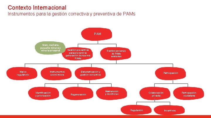 Contexto Internacional Instrumentos para la gestión correctiva y preventiva de PAMs PAM Gran, mediana,