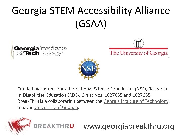 Georgia STEM Accessibility Alliance (GSAA) Funded by a grant from the National Science Foundation