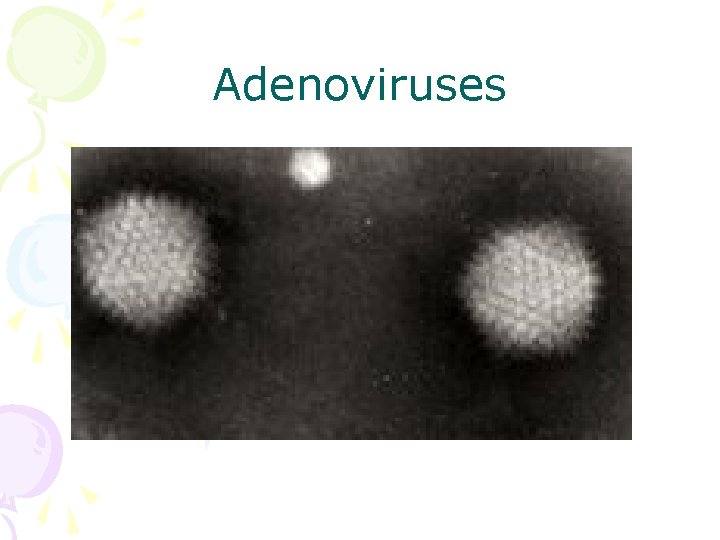Adenoviruses 