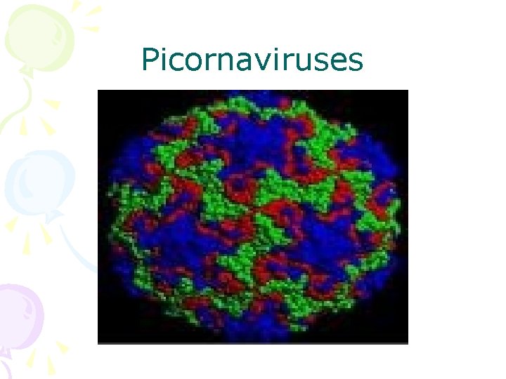 Picornaviruses 
