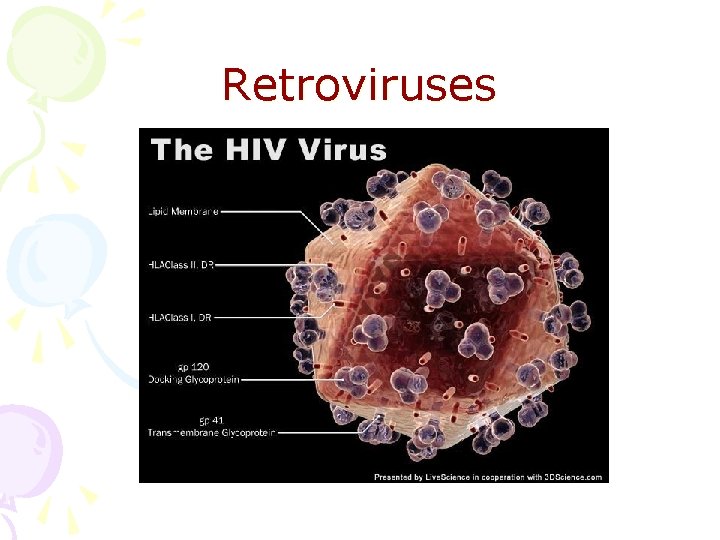 Retroviruses 