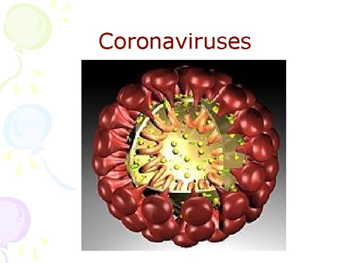 Coronaviruses 