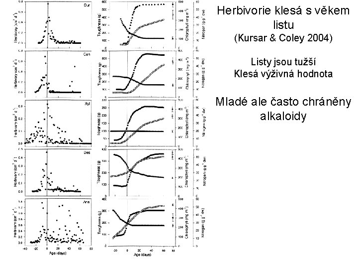 Herbivorie klesá s věkem listu (Kursar & Coley 2004) Listy jsou tužší Klesá výživná