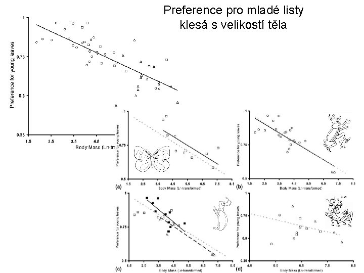 Preference pro mladé listy klesá s velikostí těla 