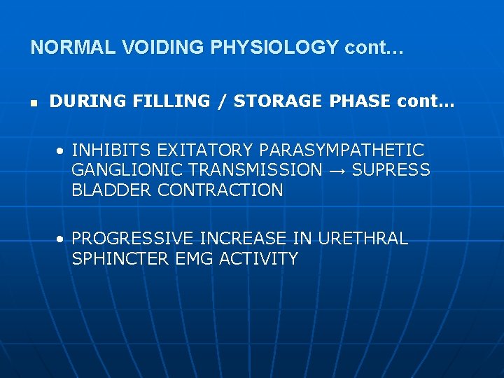 NORMAL VOIDING PHYSIOLOGY cont… n DURING FILLING / STORAGE PHASE cont… • INHIBITS EXITATORY