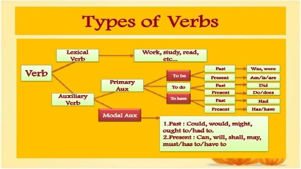 Morphological Forms of the Verb in English and