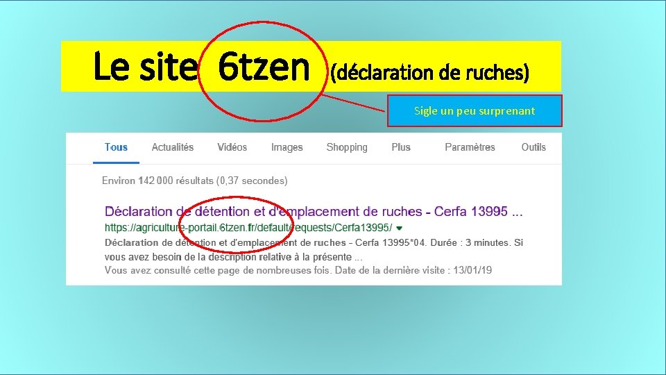 Le site 6 tzen (déclaration de ruches) Sigle un peu surprenant 