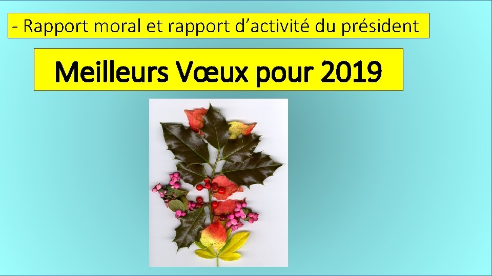 - Rapport moral et rapport d’activité du président Meilleurs Vœux pour 2019 