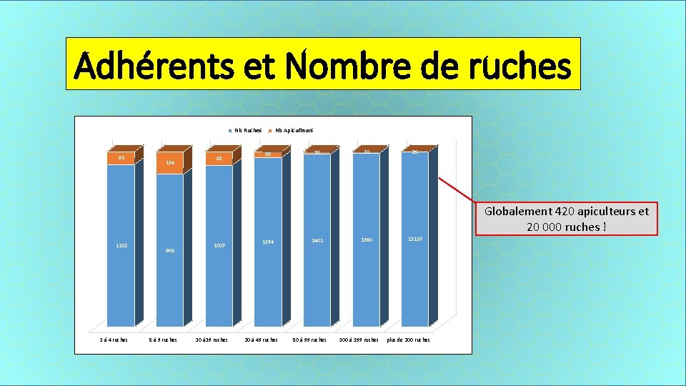 Adhérents et Nombre de ruches Nb Ruches 91 134 83 Nb Apiculteurs 53 20