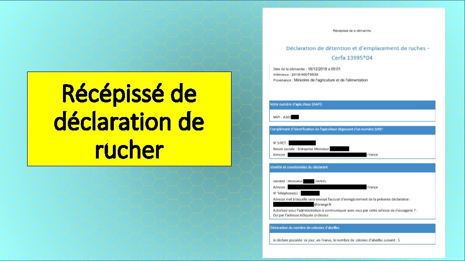 Récépissé de déclaration de rucher 