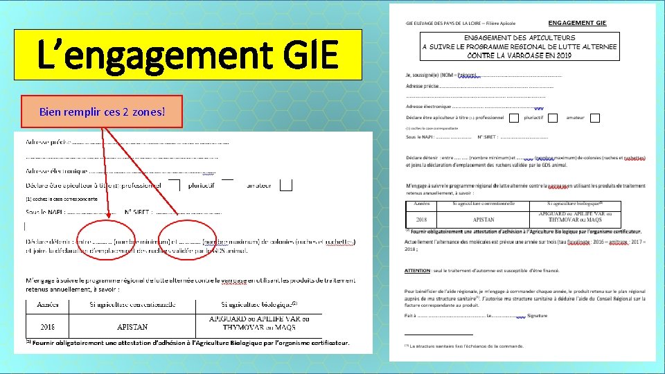 L’engagement GIE Bien remplir ces 2 zones! 