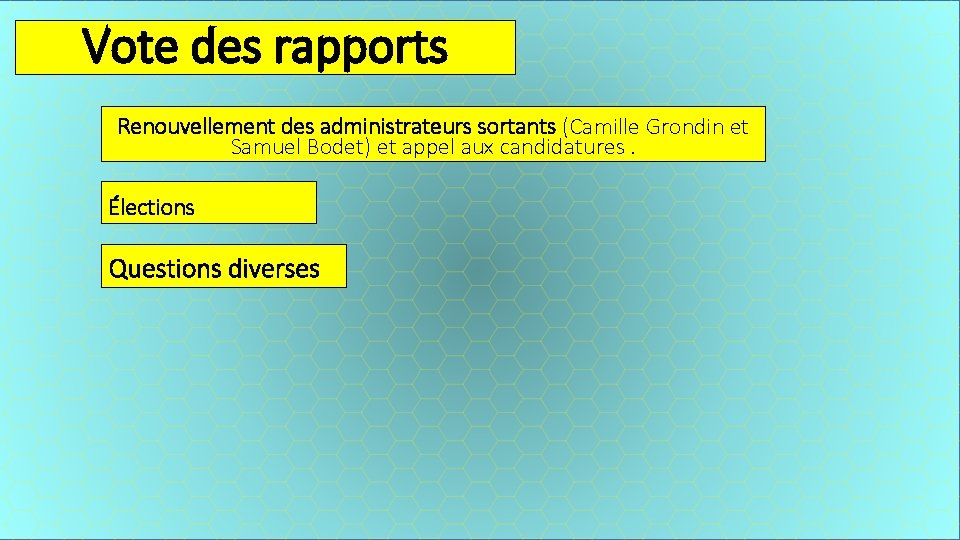 Vote des rapports Renouvellement des administrateurs sortants (Camille Grondin et Samuel Bodet) et appel