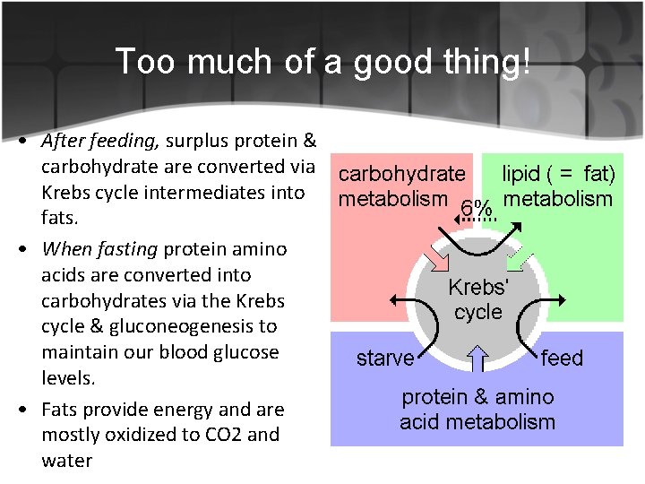 Too much of a good thing! • After feeding, surplus protein & carbohydrate are
