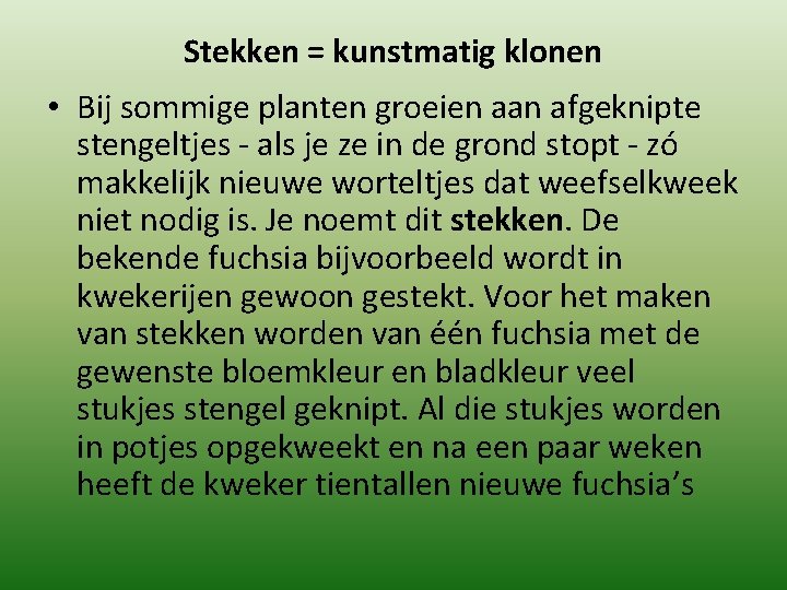 Stekken = kunstmatig klonen • Bij sommige planten groeien aan afgeknipte stengeltjes - als Stekken = kunstmatig klonen • Bij sommige planten groeien aan afgeknipte stengeltjes - als
