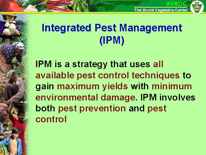 AVRDC The World Vegetable Center Integrated Pest Management