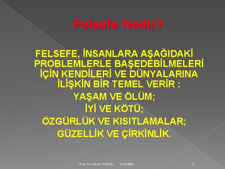 Felsefe Nedir? FELSEFE, İNSANLARA AŞAĞIDAKİ PROBLEMLERLE BAŞEDEBİLMELERİ İÇİN KENDİLERİ VE DÜNYALARINA İLİŞKİN BİR TEMEL