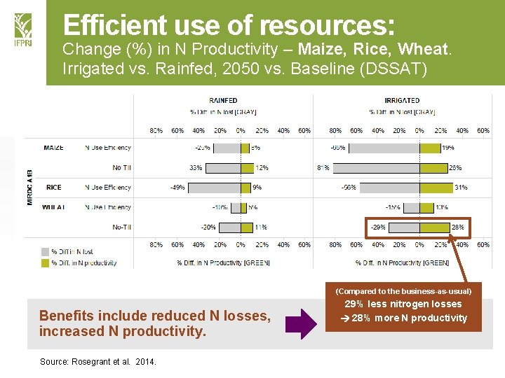 Efficient use of resources: Change (%) in N Productivity – Maize, Rice, Wheat. Irrigated
