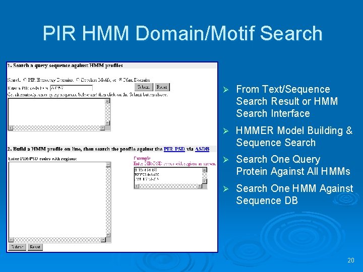 PIR HMM Domain/Motif Search Ø From Text/Sequence Search Result or HMM Search Interface Ø