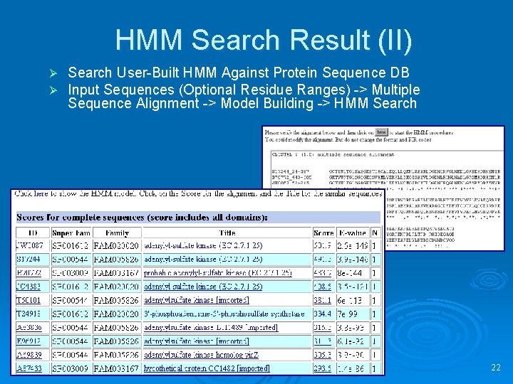 HMM Search Result (II) Ø Ø Search User-Built HMM Against Protein Sequence DB Input