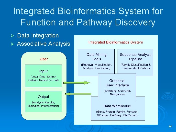 Integrated Bioinformatics System for Function and Pathway Discovery Data Integration Ø Associative Analysis Ø