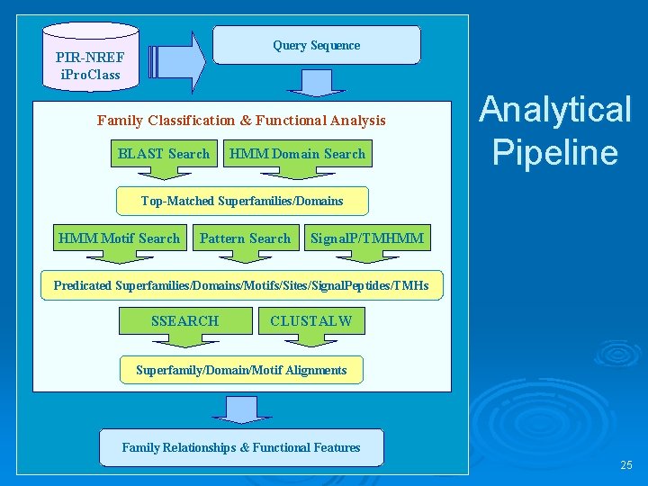 Query Sequence PIR-NREF i. Pro. Class Family Classification & Functional Analysis BLAST Search HMM