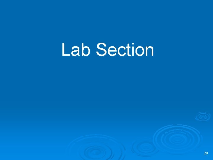Lab Section 28 