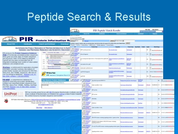 Peptide Search & Results 29 