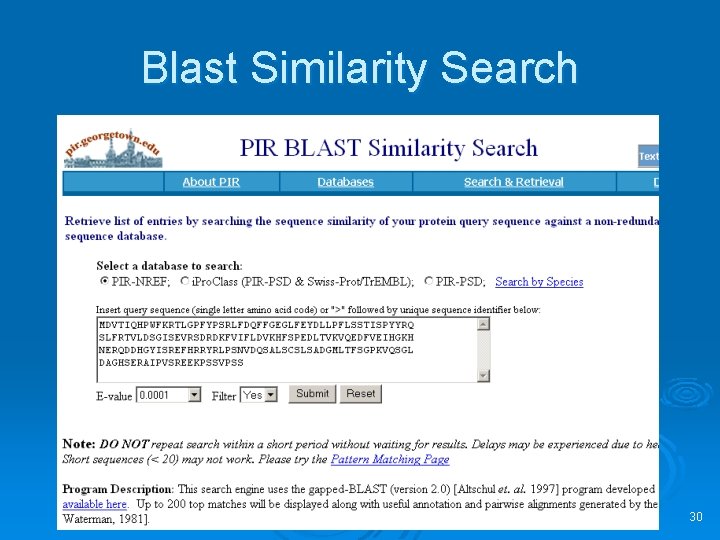 Blast Similarity Search 30 