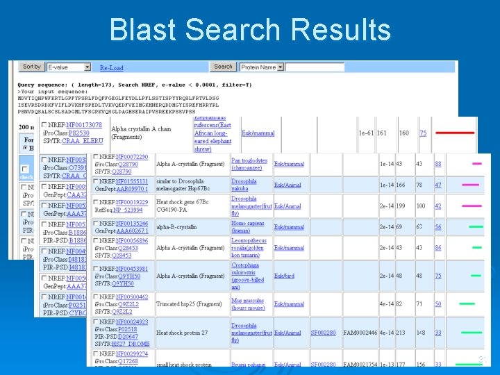 Blast Search Results 31 