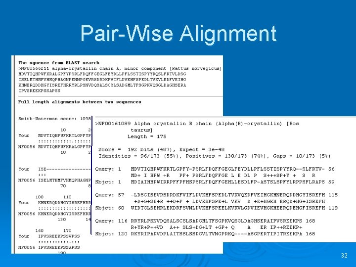 Pair-Wise Alignment 32 