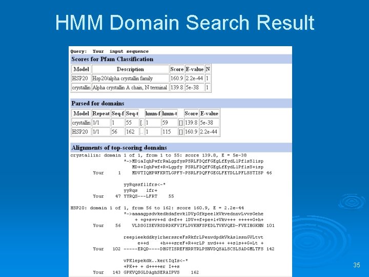 HMM Domain Search Result 35 