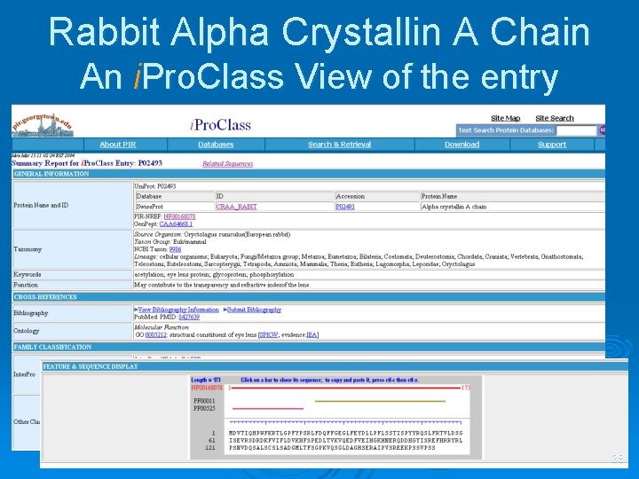 Rabbit Alpha Crystallin A Chain An i. Pro. Class View of the entry 38